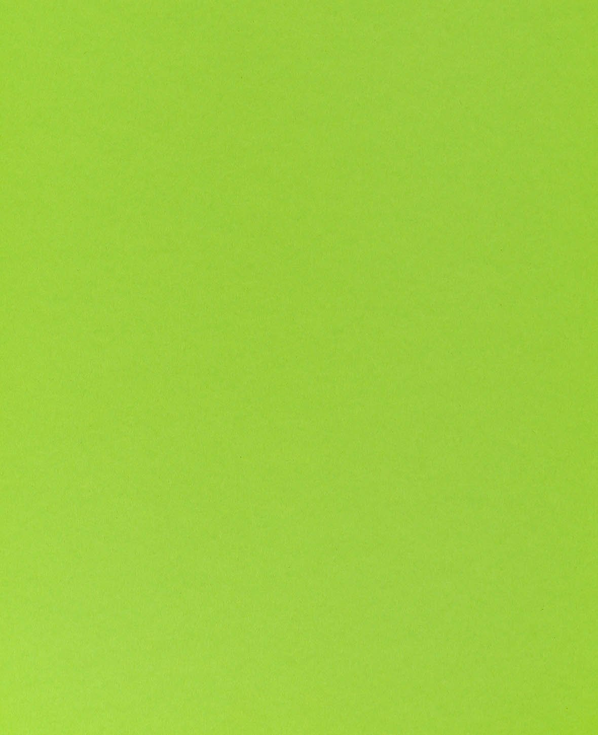 Carton photo, vert prairie, 210 × 297 mm (A4), 270 g/m², 1 feuille