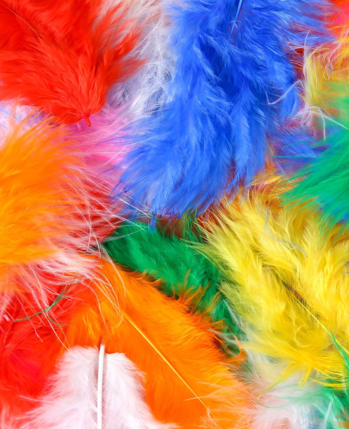 Zip Bag Feathers, 130 pcs.