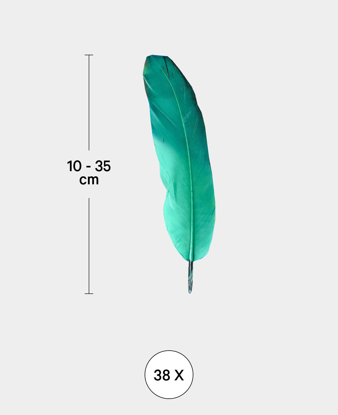 Plumes décoratives en sachet, multicolores, env. 10-35 cm, 38 pièces