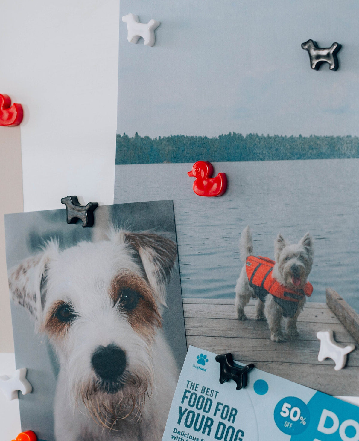 Magnetic Duck, Decorative Magnets, Red & Orange, 0.7 x 1.9 x 1.8 cm, 6 Pieces