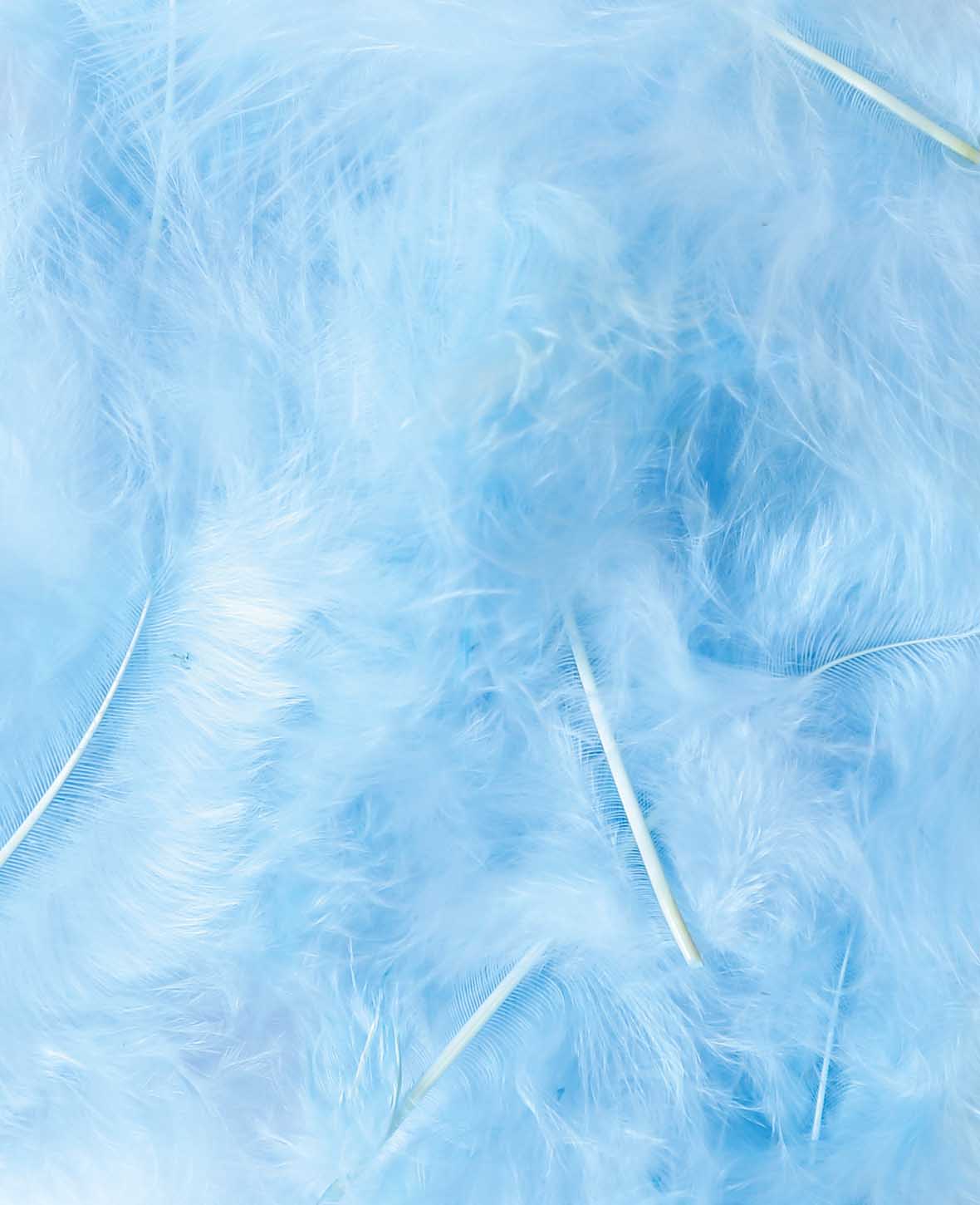 Decorative Feathers, Light Blue, 8 cm, 15 pcs.