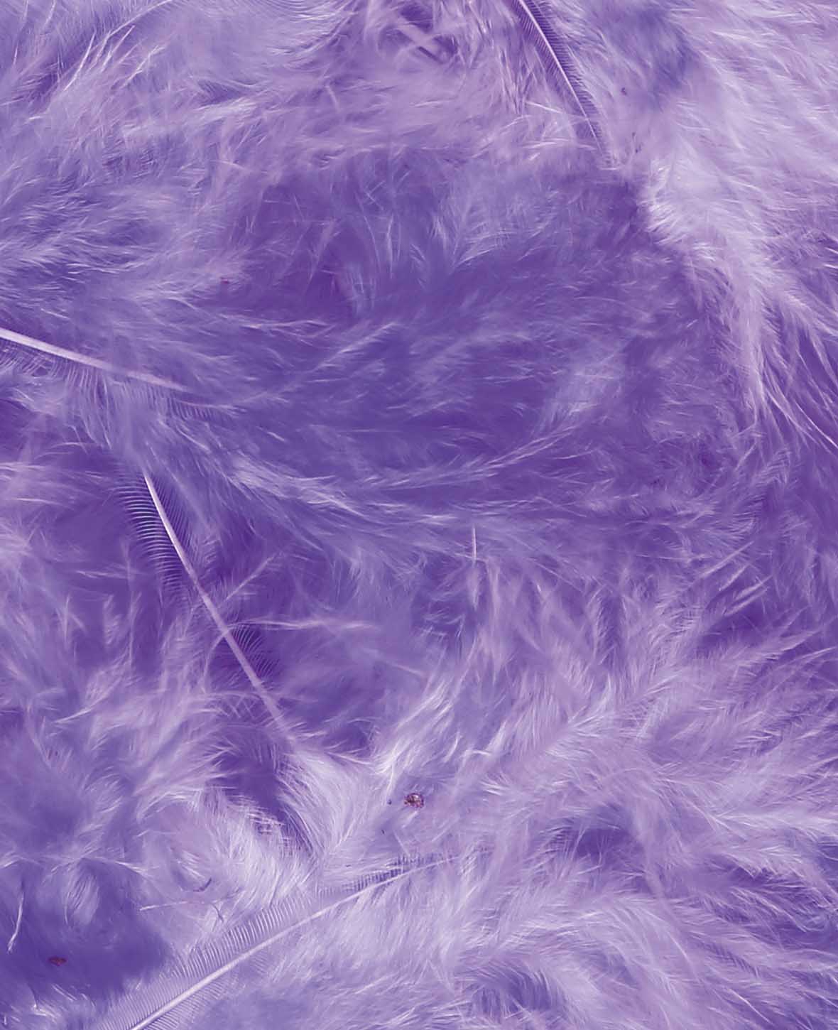Decorative Feathers, Purple, 8 cm, 15 pcs.