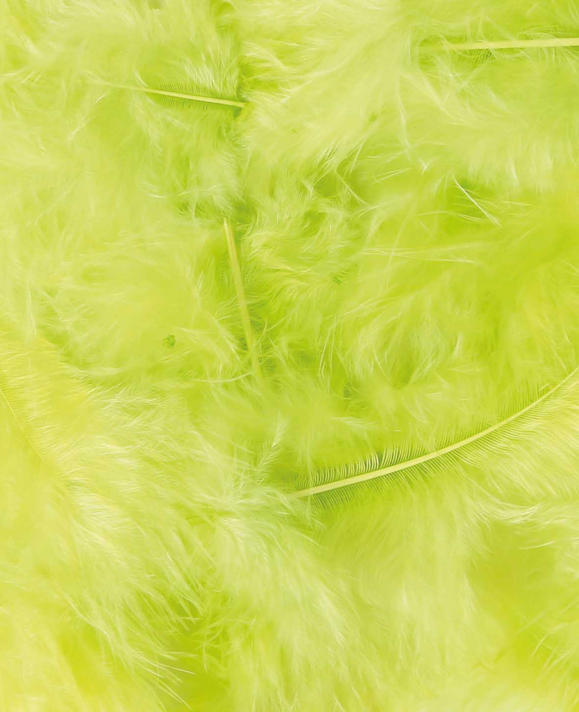 Plumes décoratives, vert clair, 8 cm, 15 p.