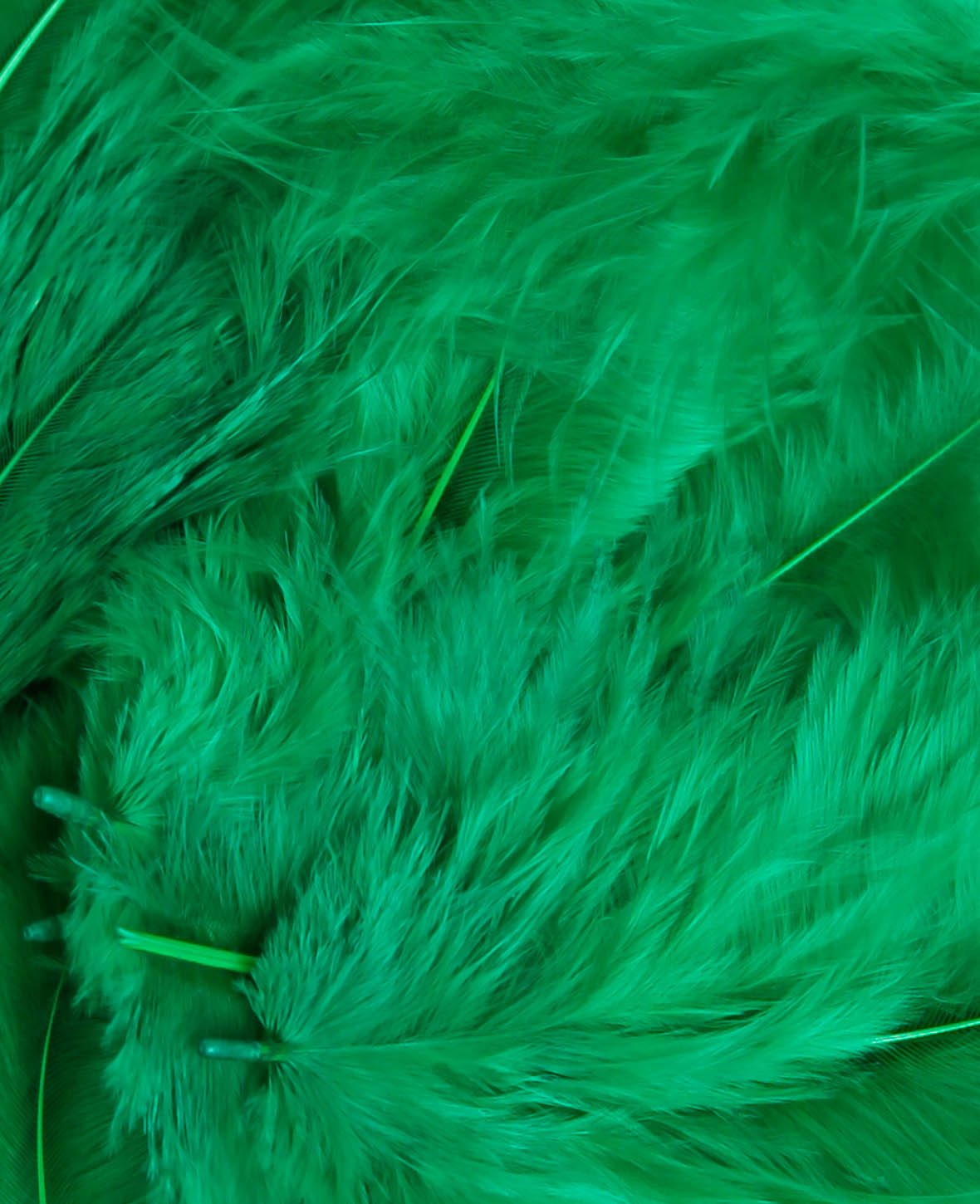 Decorative feathers, green, 8 cm, 15 pcs.