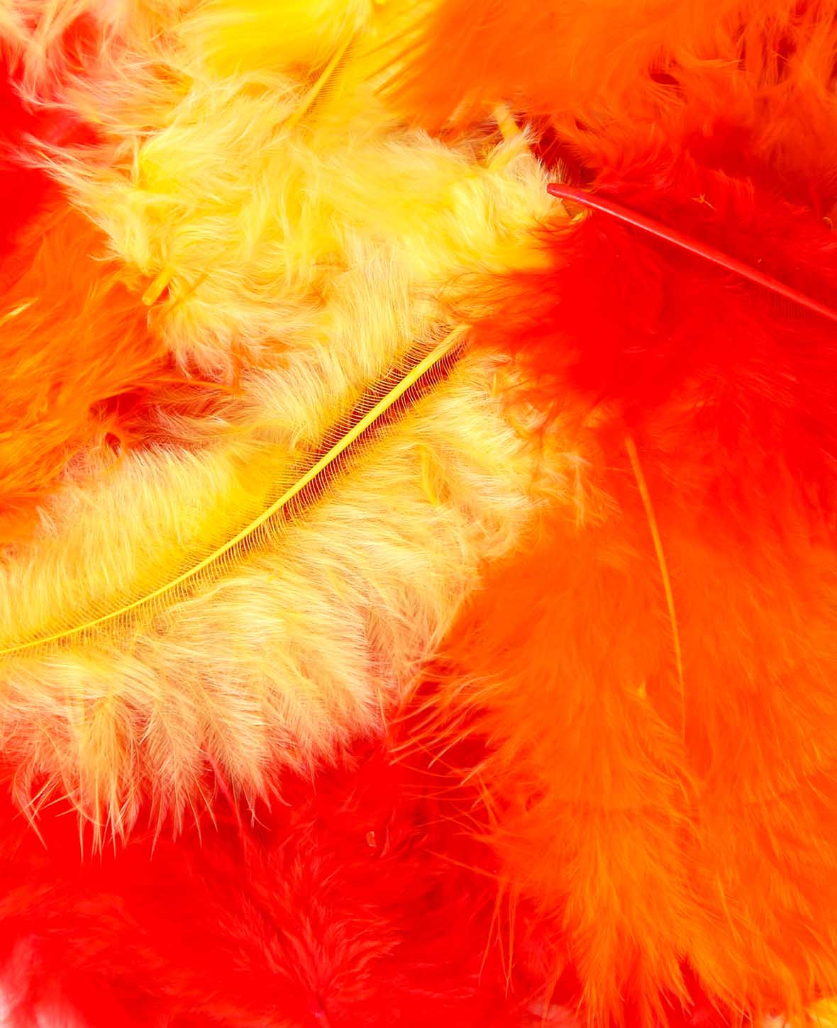 Plumes décoratives, mélange rouge, 5 - 8 cm