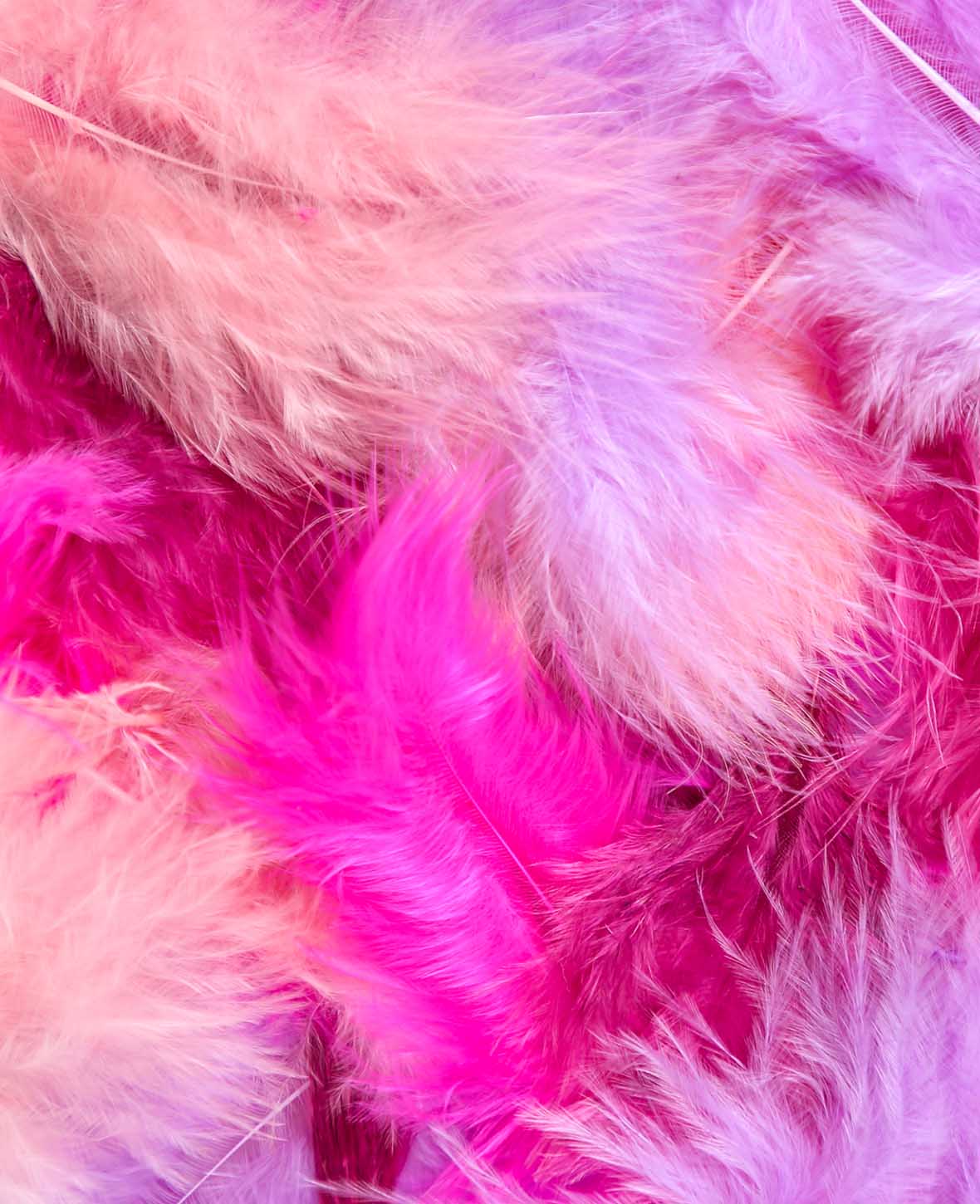 Decorative Feathers, Pink Mix, 5 - 8 cm