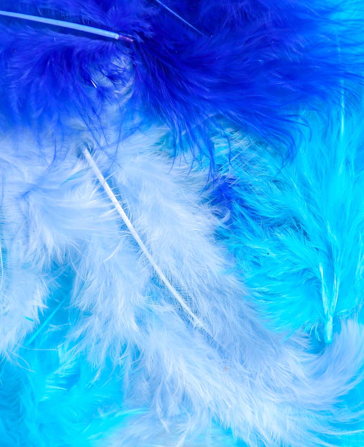 Decorative Feathers, Blue Mix, 5 - 8 cm