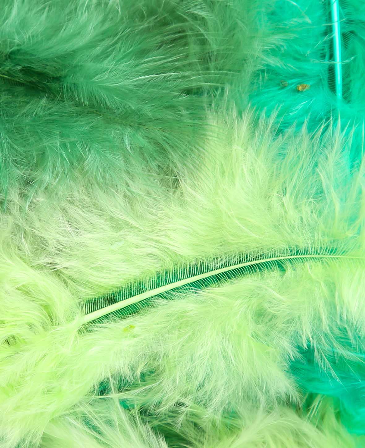 Decorative Feathers, Green Mix, 5 - 8 cm