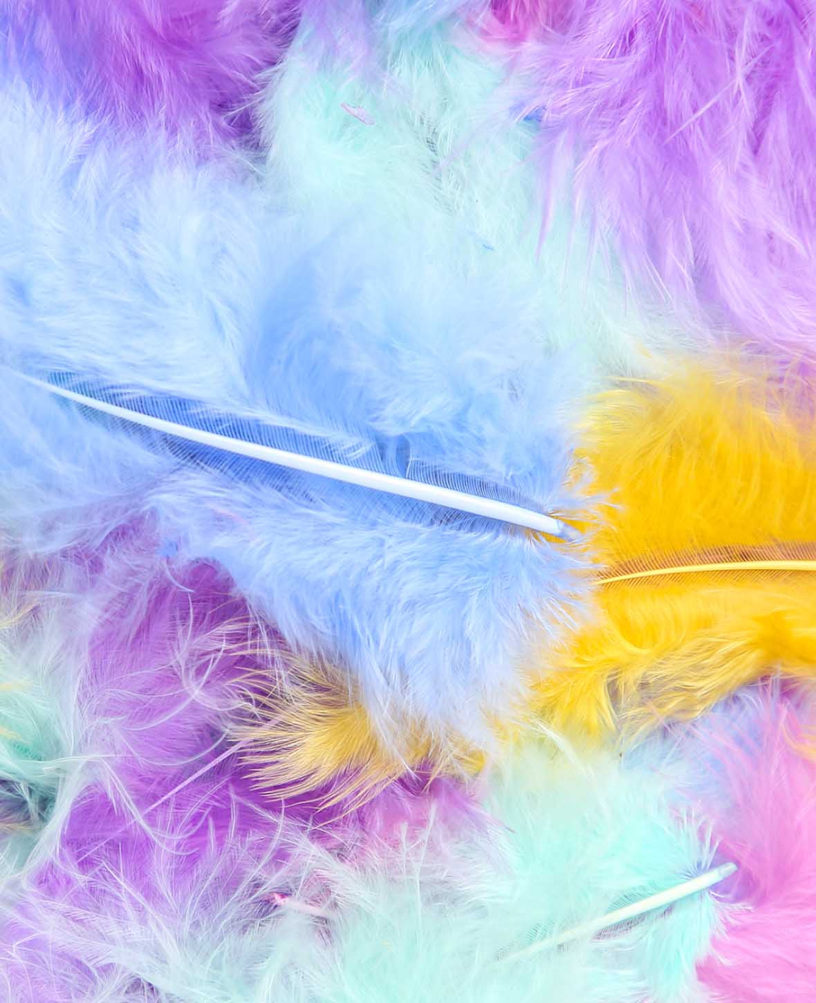 Decorative Feathers, Pastel Mix, 5 - 8 cm