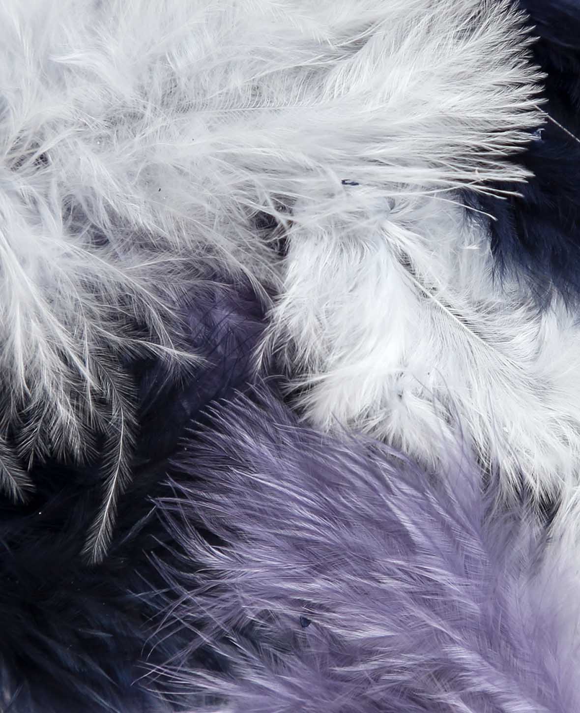 Decorative Feathers, Black & White Mix, 5 - 8 cm