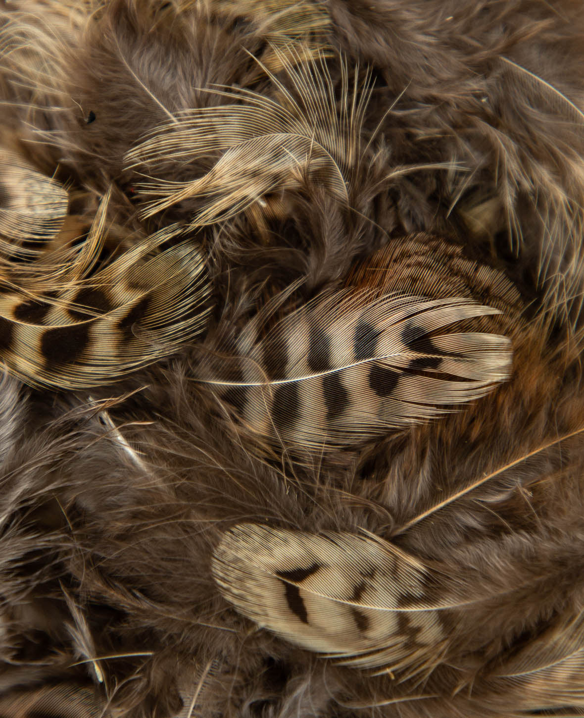 Feathers, 8 cm, 3 g., Natural 2