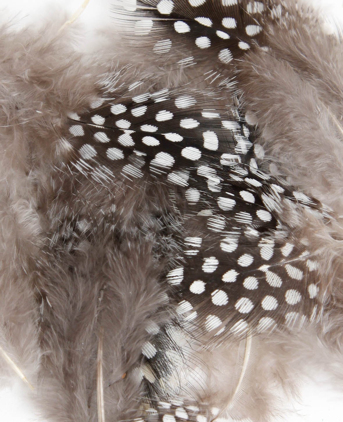Plumes de pintade naturelles, 8 cm, 15 pces.