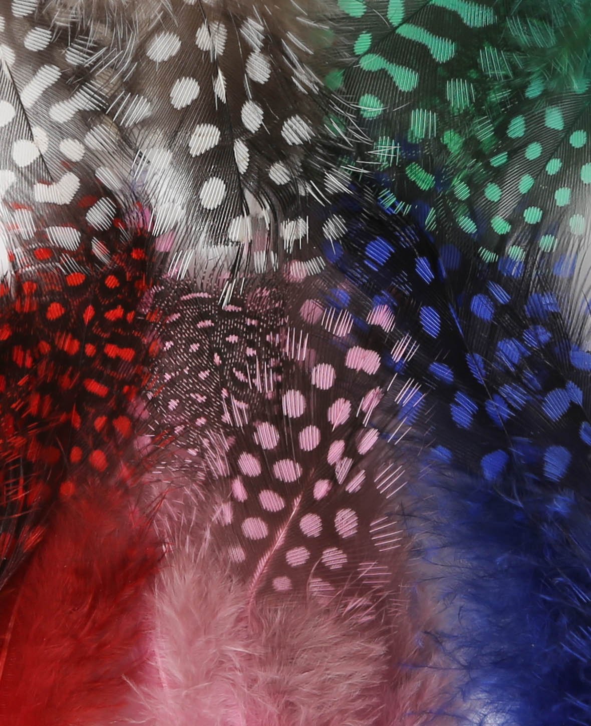 Plumes de pintade multicolores, 8 cm, 15 pces.