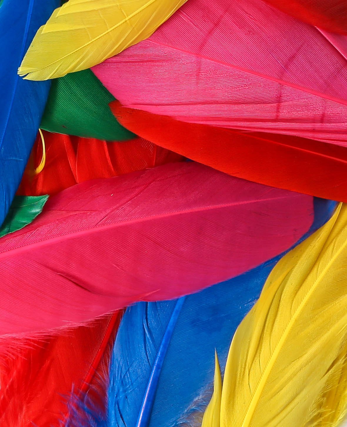 Plumes décoratives, colorées, env. 10-20 cm, 20 pces.