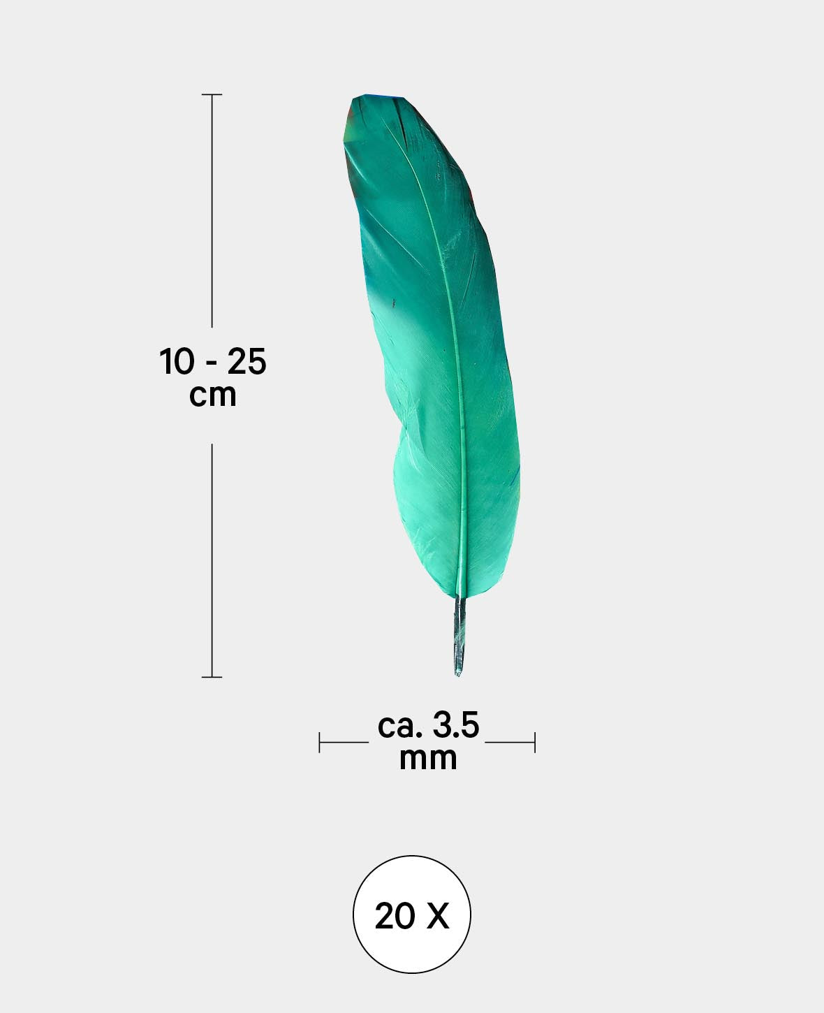 Schmuckfedern, bunt, ca. 10-35 cm, 20 Stk.