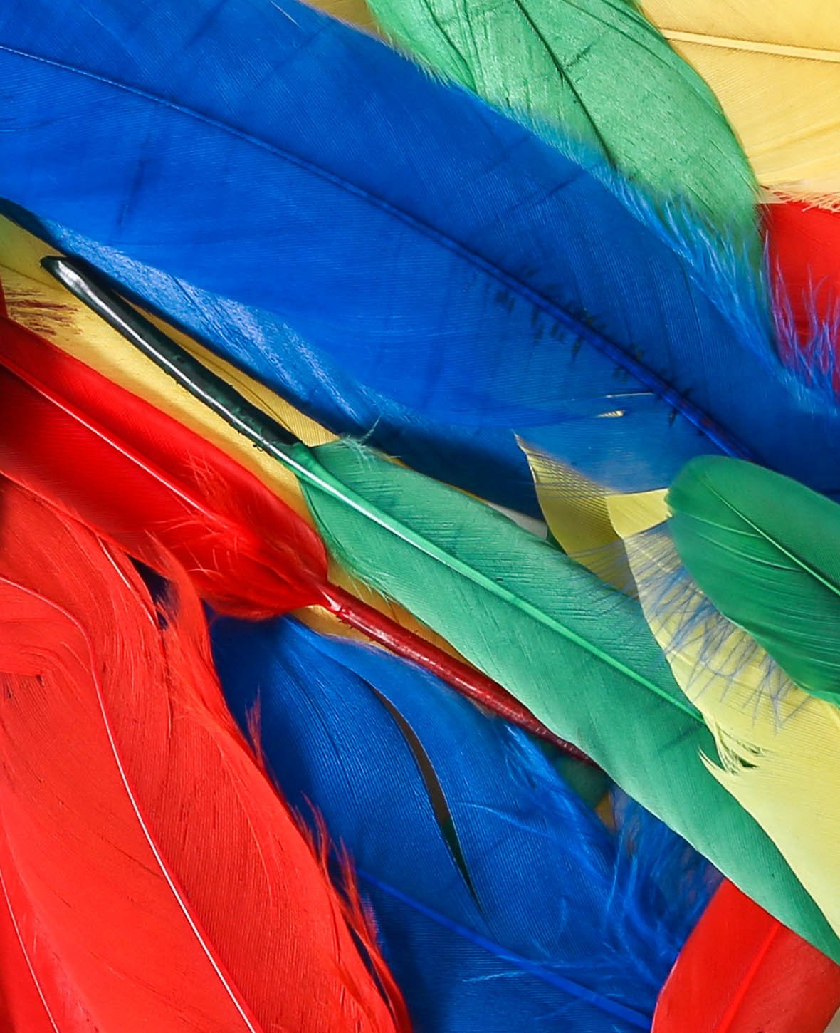 Plumes décoratives, colorées, env. 10-35 cm, 20 p.