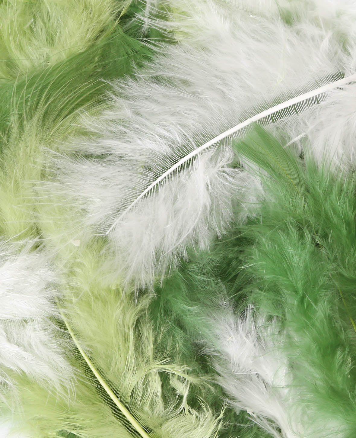 Feathers Mix 6 - 12 cm, Green Shades