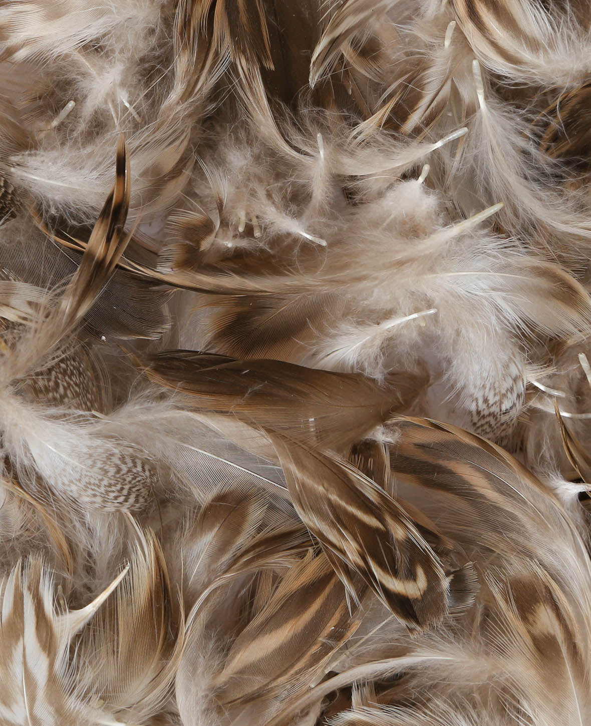 Feathers Mix I 5 - 10 cm, natural