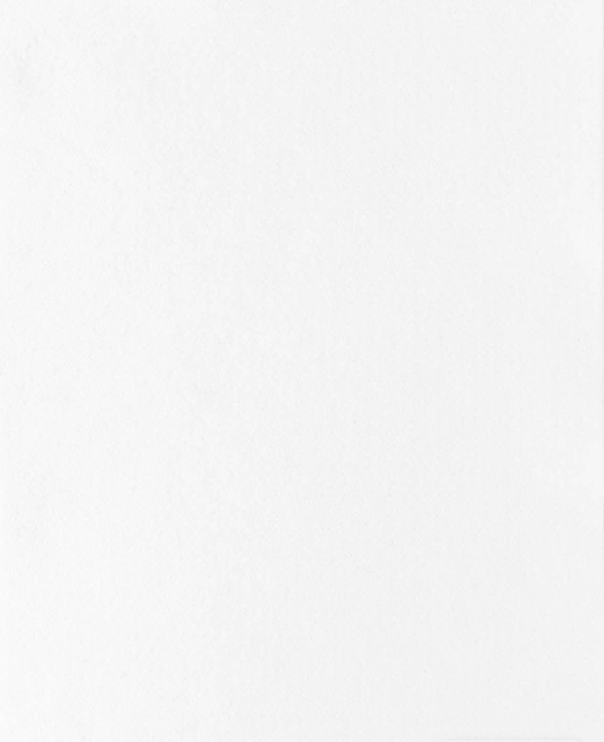 Feutre, blanc, 20 x 30 cm x 1 mm, 1 pièce