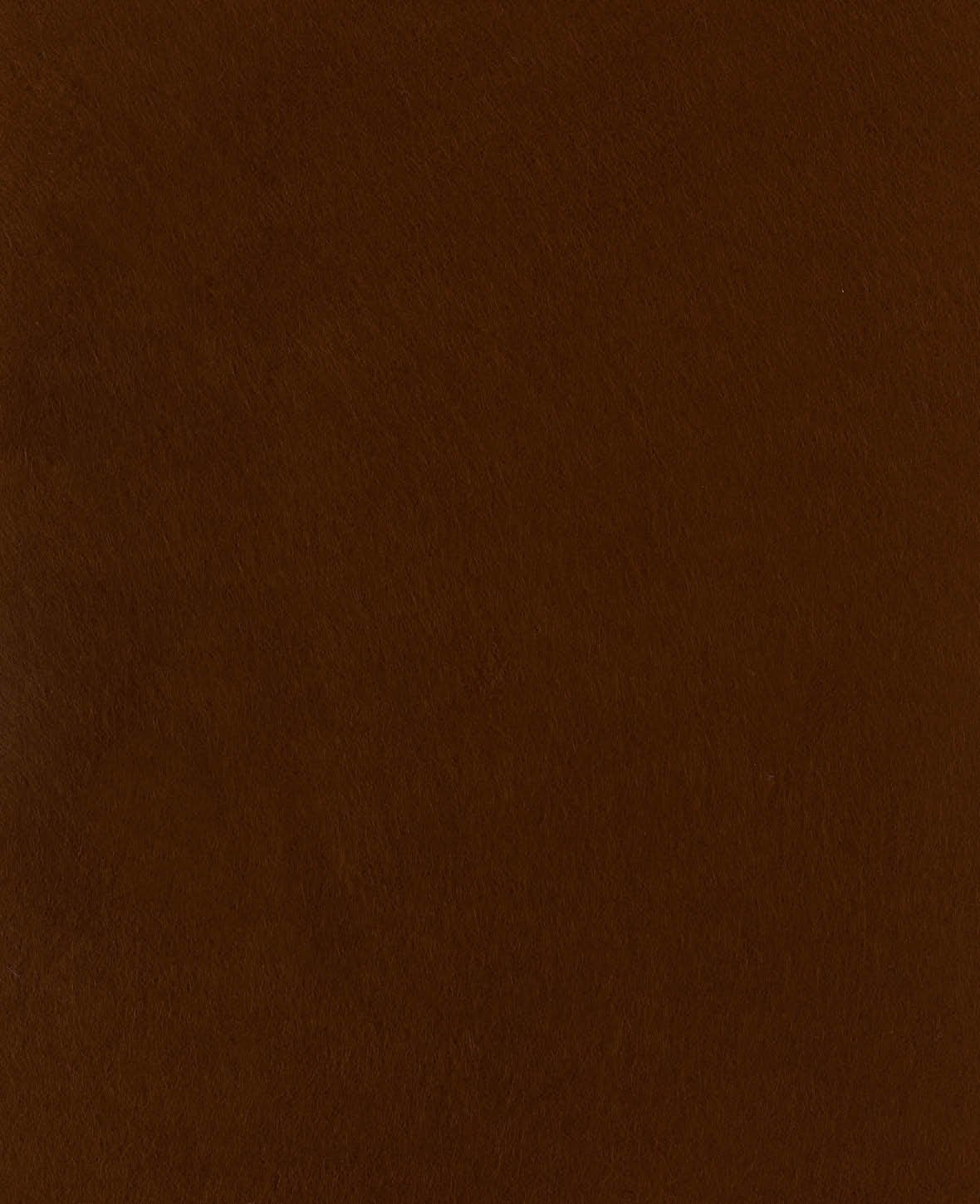 Feutre, brun, 20 x 30 cm x 1 mm, 1 pièce