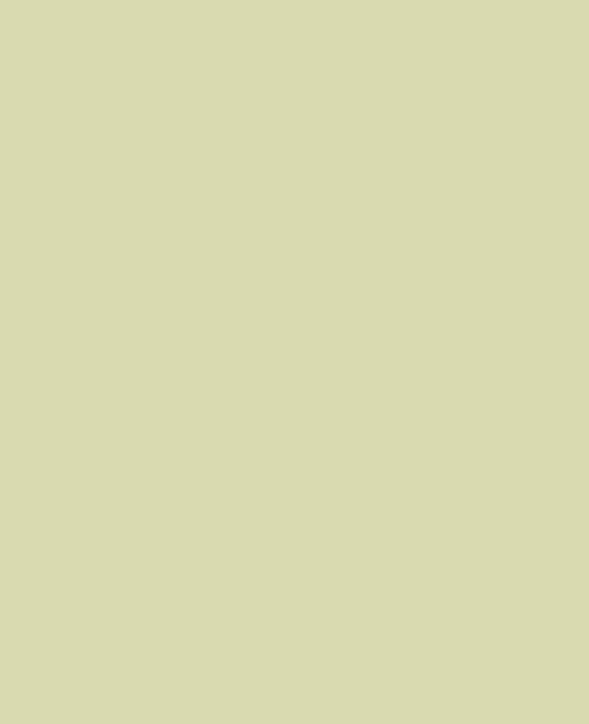 KREUL Window Color Glow-in-the-Dark Paint, Yellow 80 ml