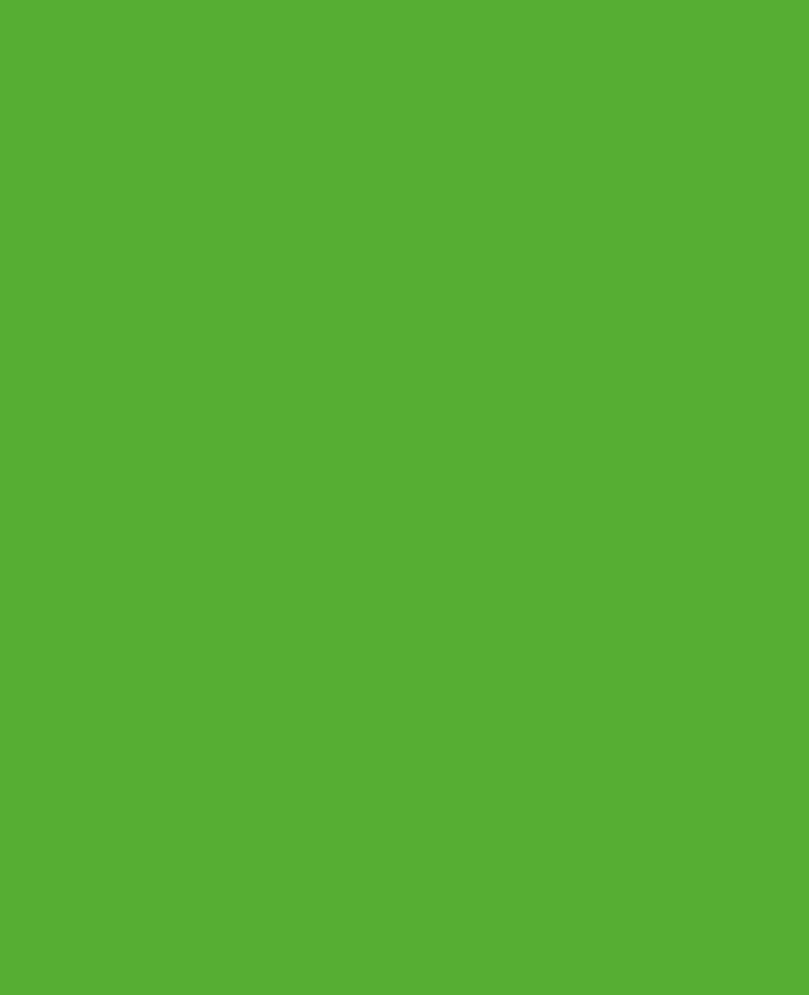 KREUL Permanent Marker, Medium Light Green, 5-3 mm
