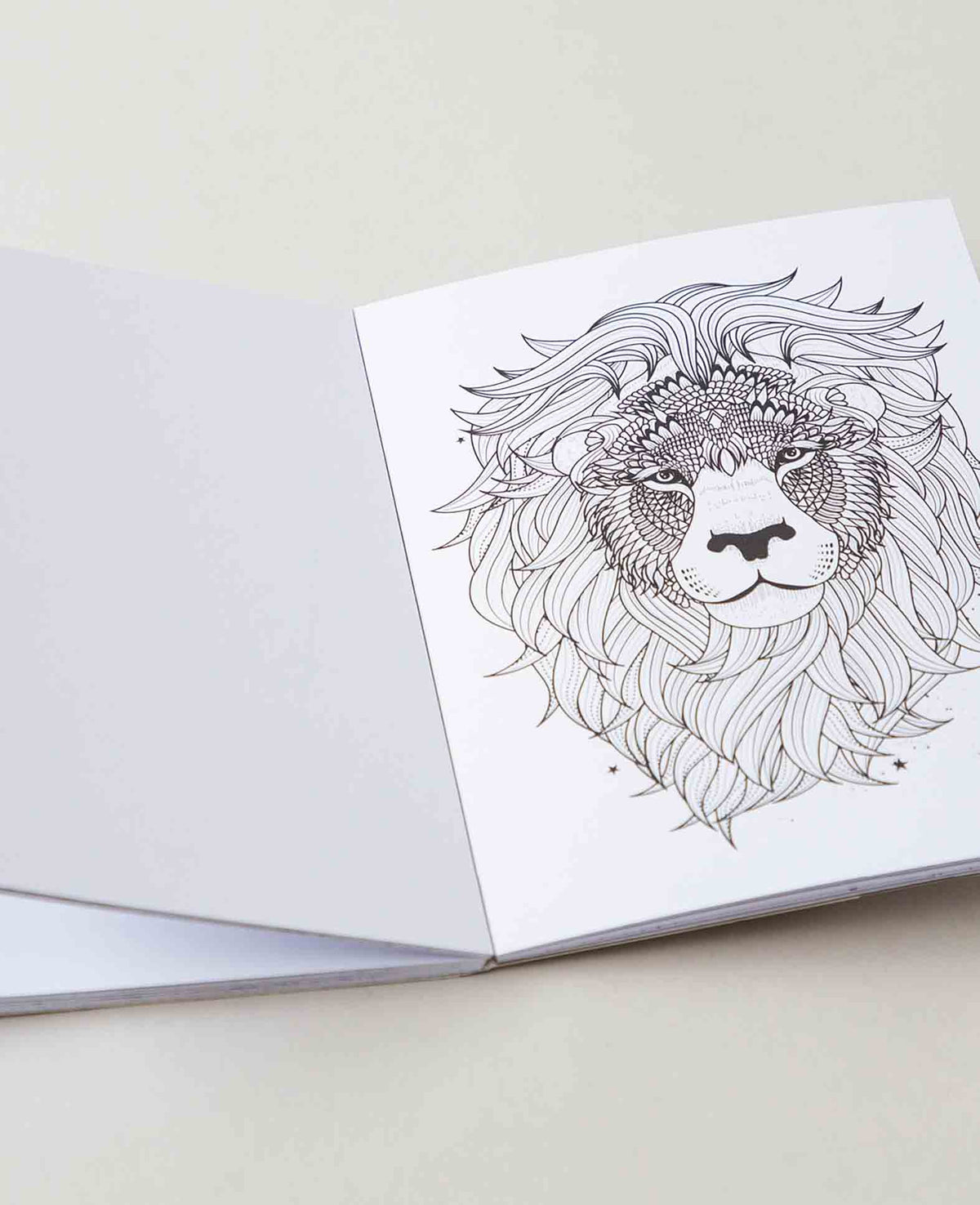 Livre de coloriage Dschungel en papier FSC, 10,5 × 14,5 cm, 20 pages