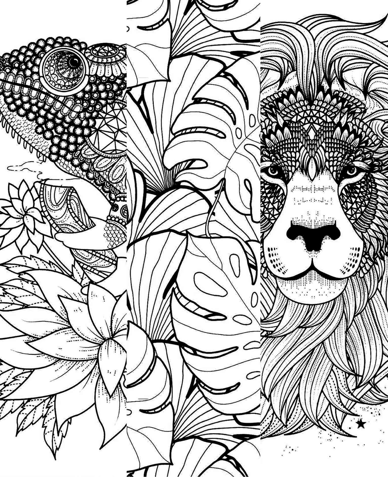 Livre de coloriage Dschungel en papier FSC, 10,5 × 14,5 cm, 20 pages