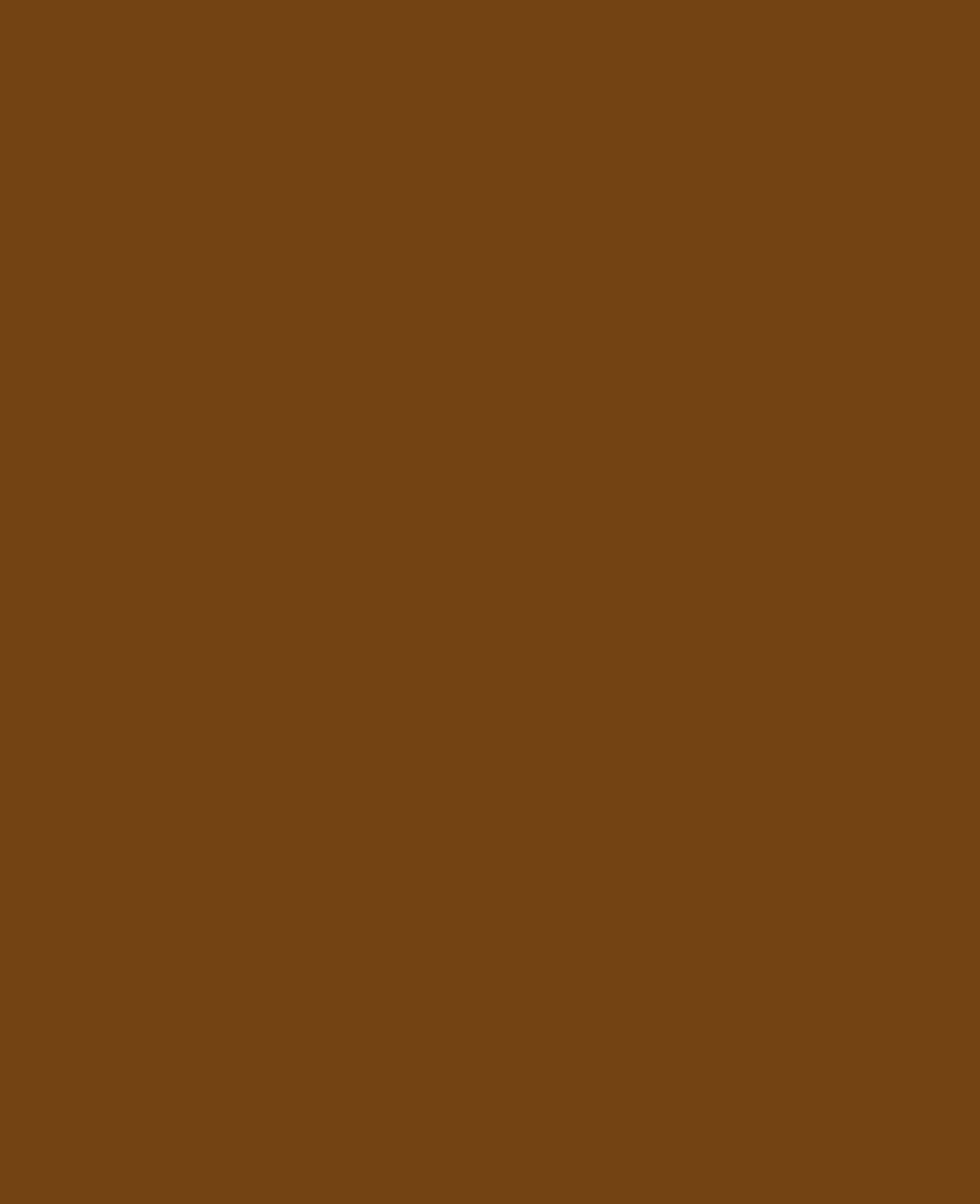 KREUL Acryl Mattfarbe, Dunkelbraun, 20 ml
