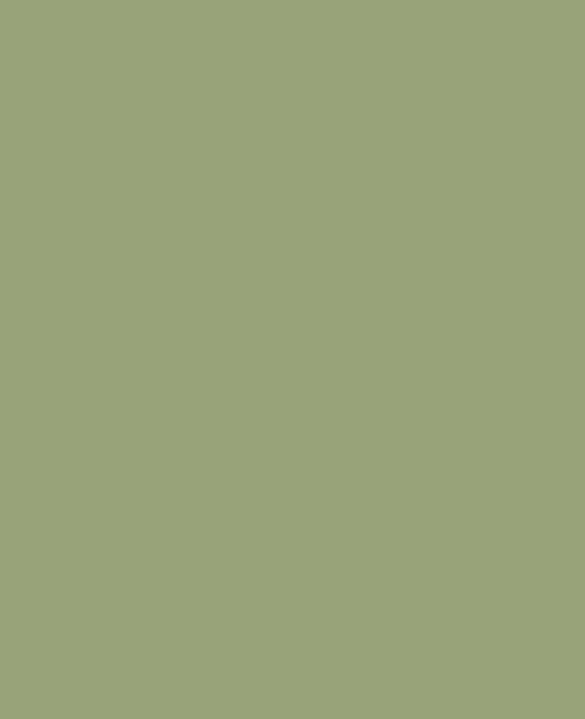 KREUL Chalky Chalk Paint, Velvet Olive, 150 ml