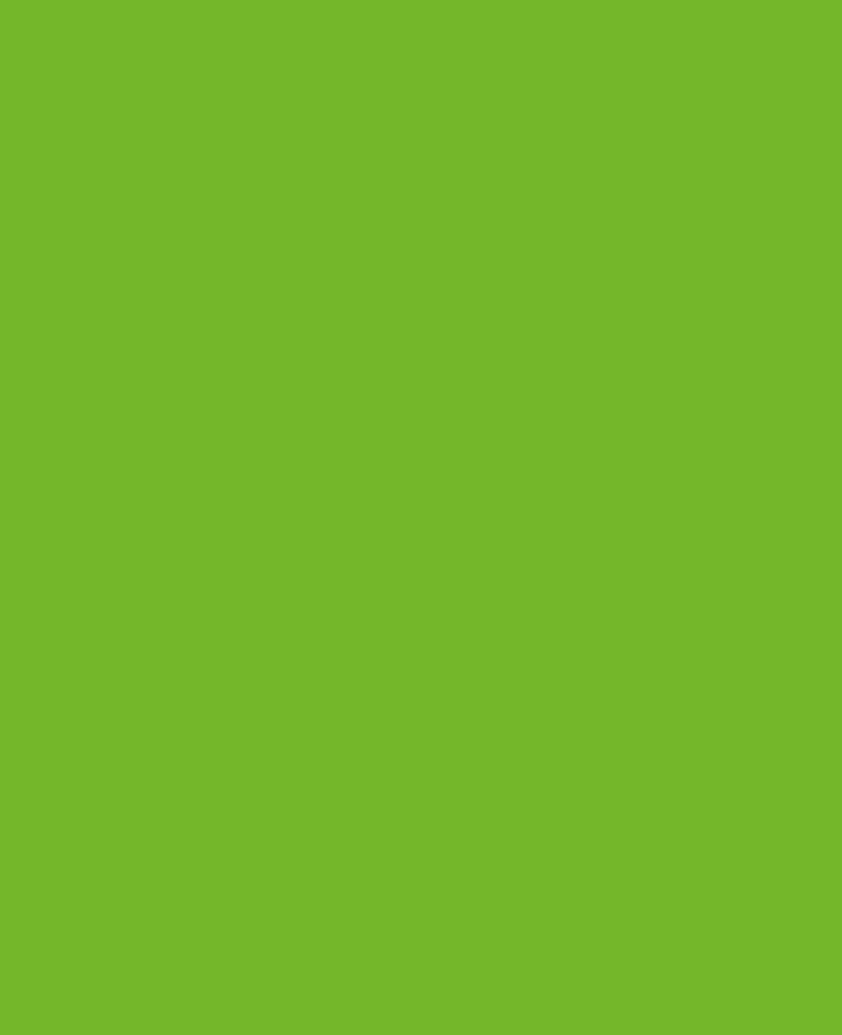 KREUL Peinture acrylique brillante vert tilleul 20 ml