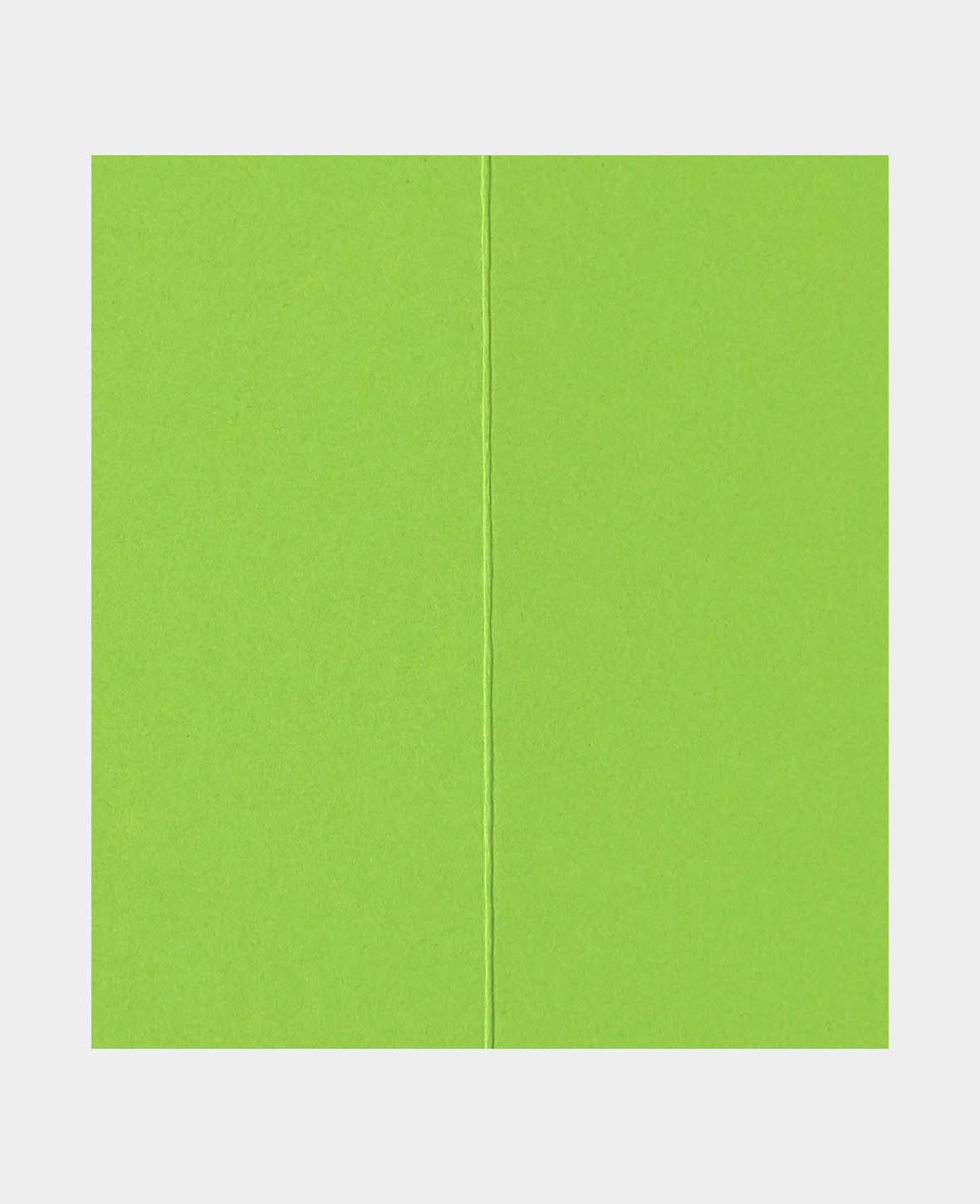 Tischkarten, Platzkarten, Grasgrün, 89 x 100 mm, 240 g/m², 5 Stück