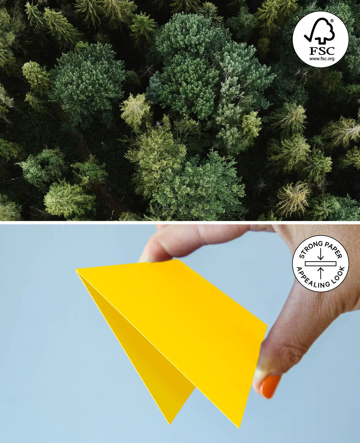 Marque-places, Vert foncé, 89 x 100 mm, 240 g/m², 5 pièces