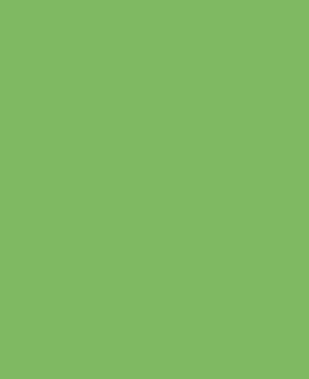Peinture pour soie KREUL Javana, Vert, 50 ml