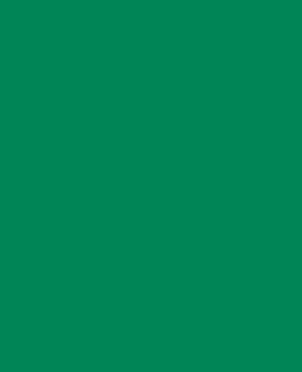 KREUL Javana Peinture pour soie, vert foncé, 50 ml