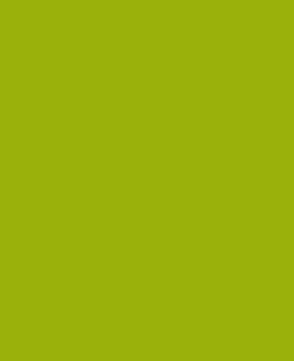 KREUL Javana Peinture pour soie, 50 ml