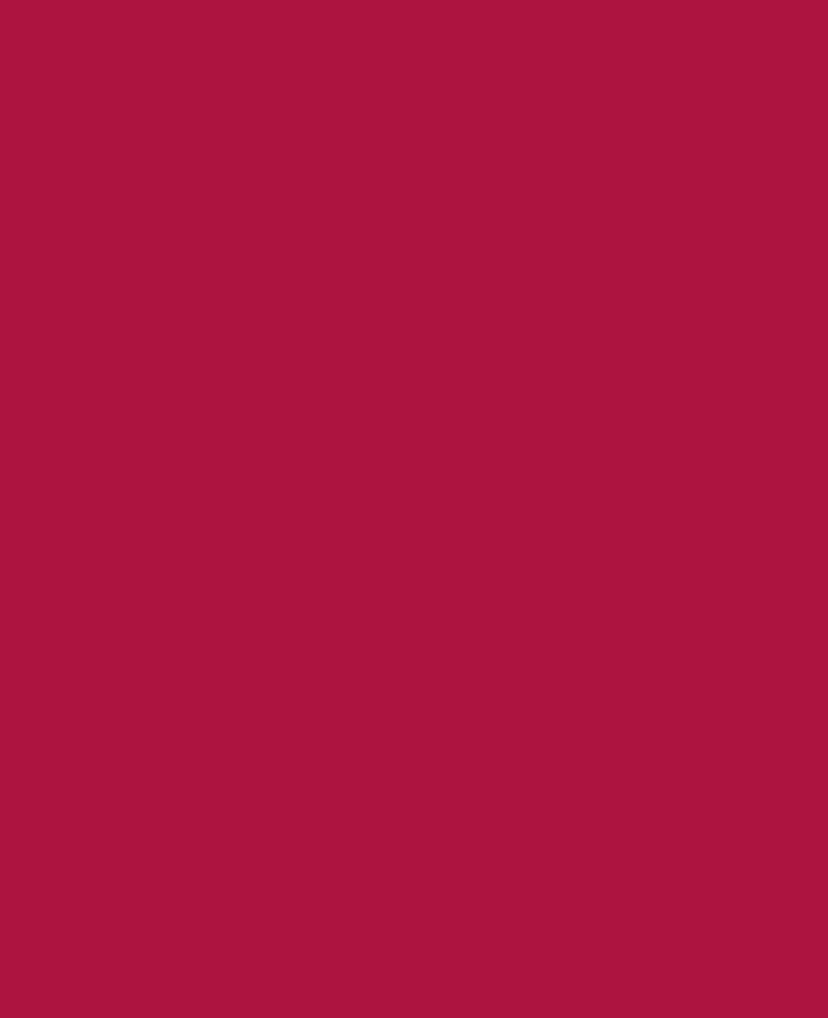 SOLO GOYA Acrylfarbe, Weinrot, 100 ml
