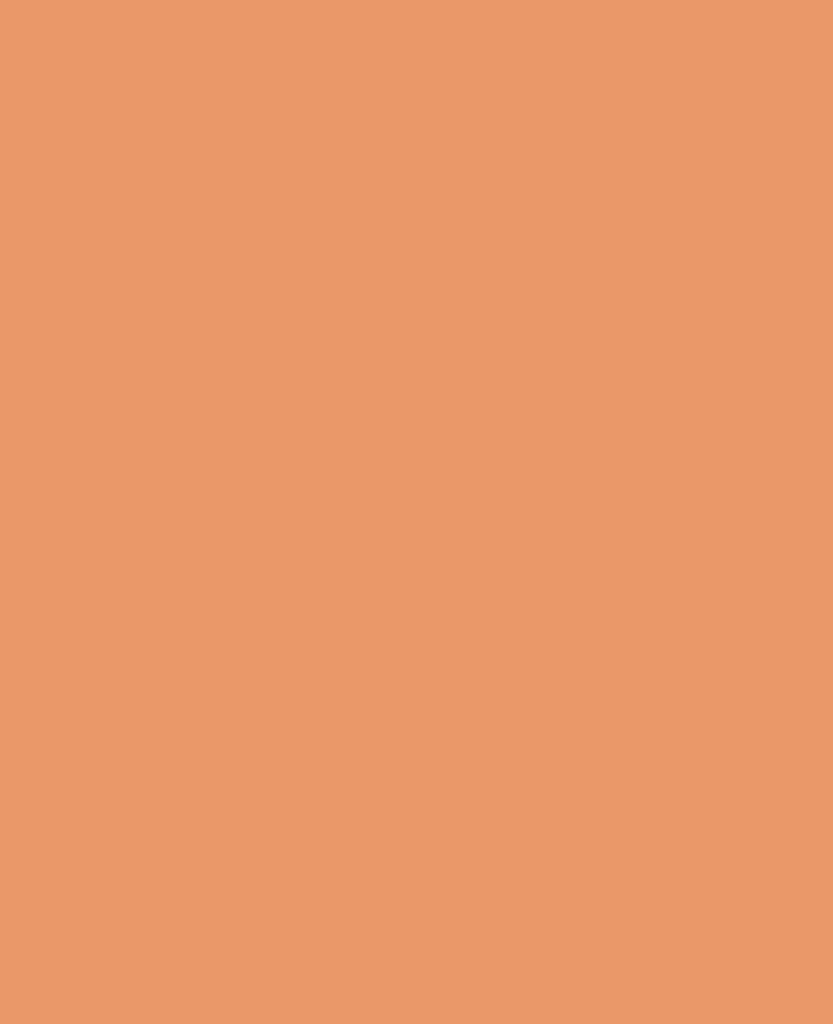 SOLO GOYA Acrylfarbe, Terracotta, 100 ml