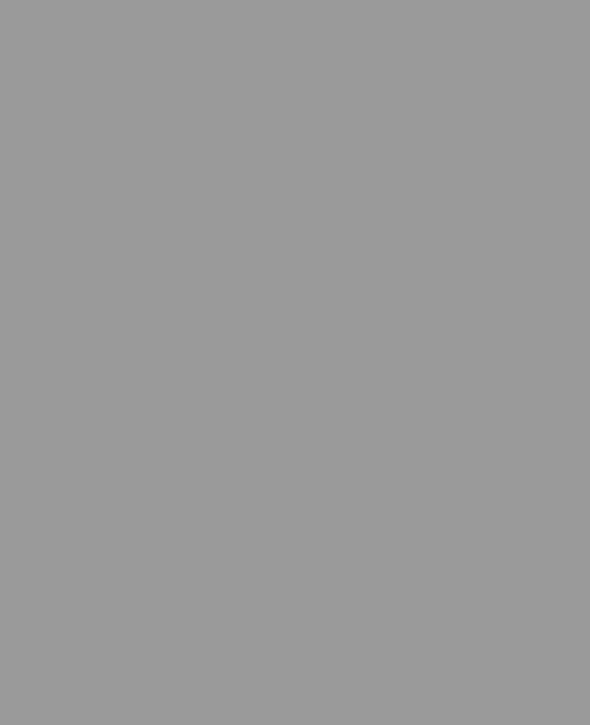 SOLO GOYA Acrylic, Neutralgrau, 100 ml