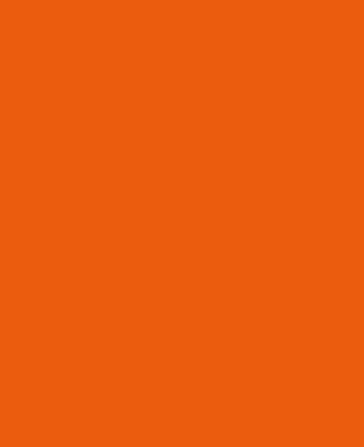 SOLO GOYA Acrylfarbe, Echtorange, 250 ml