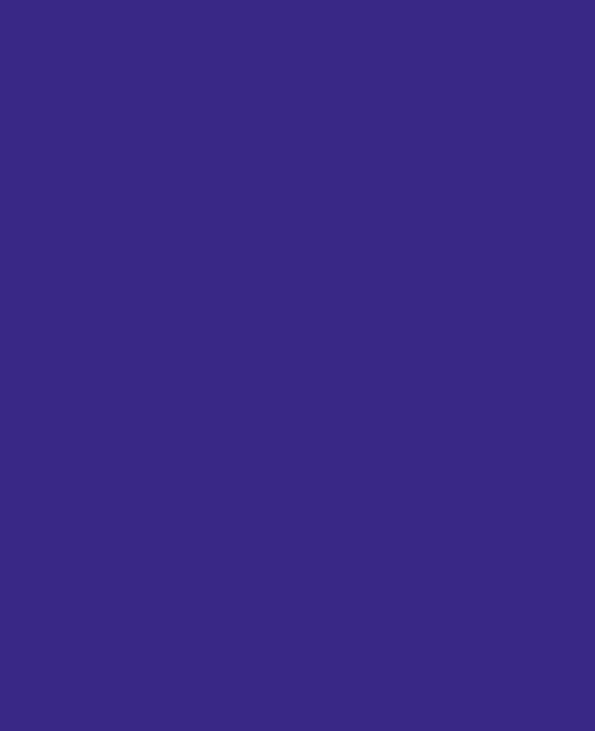 SOLO GOYA Acrylic Paint, Violet, 250 ml