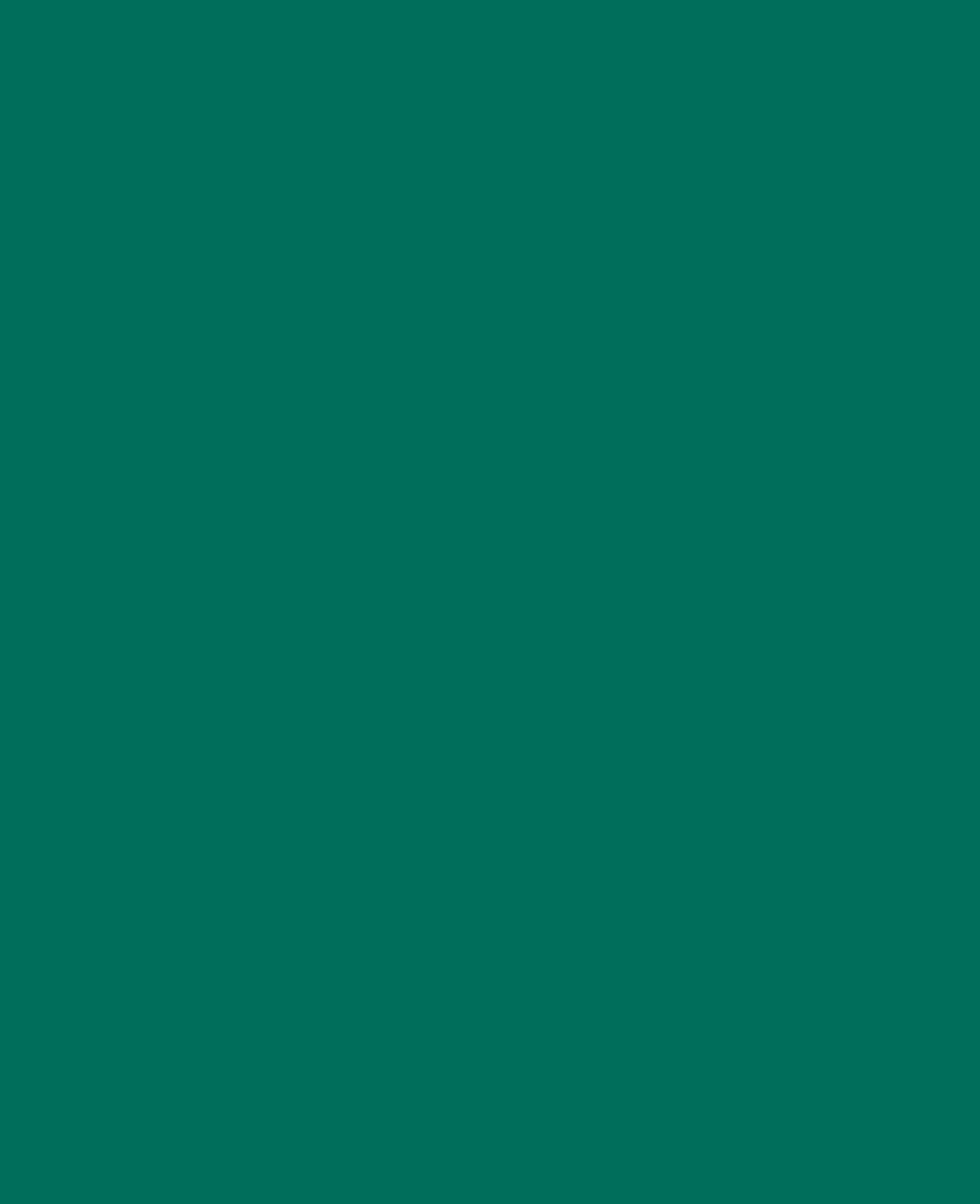 SOLO GOYA Acrylic Paint, Dark Green, 250 ml