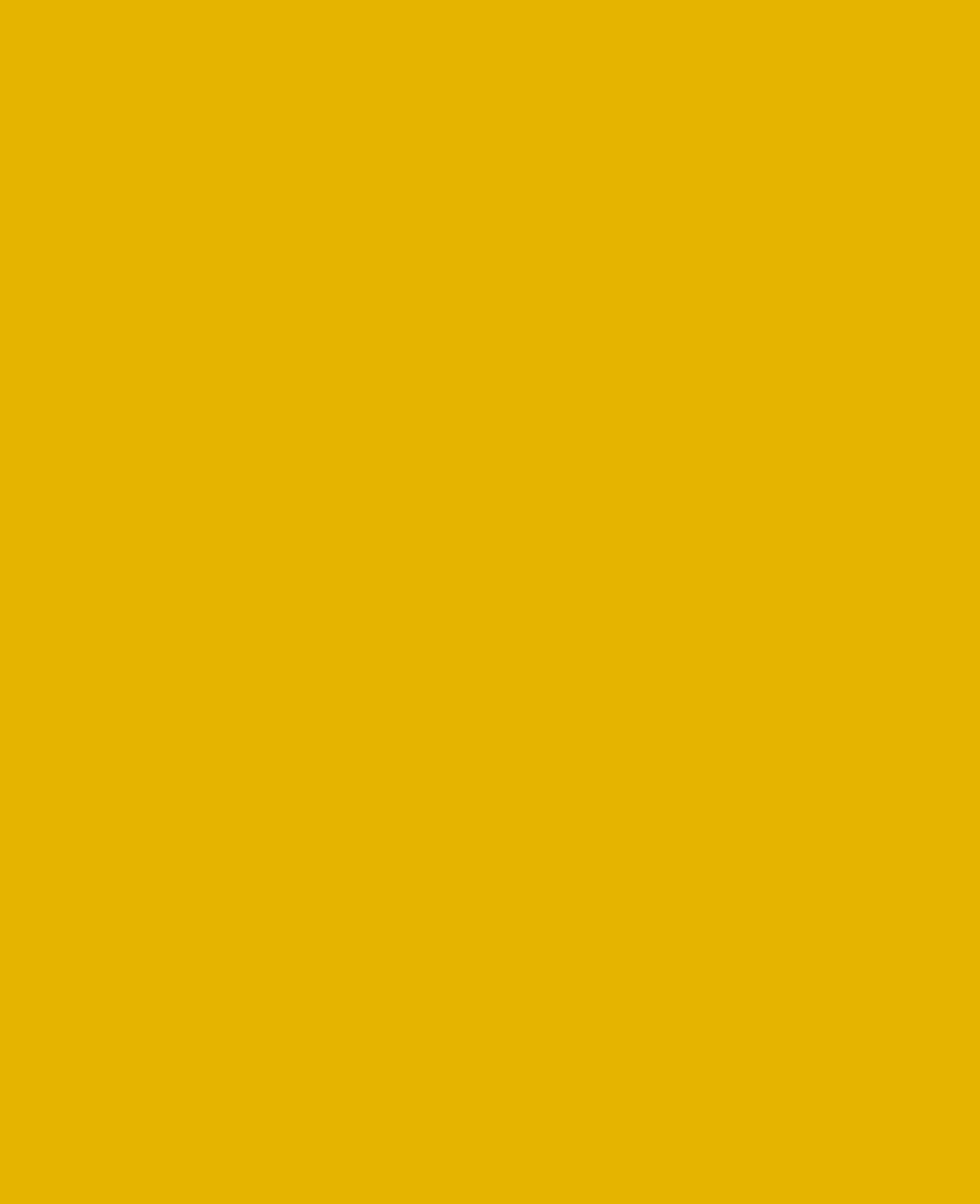 SOLO GOYA Acrylfarbe, Gold, 250 ml