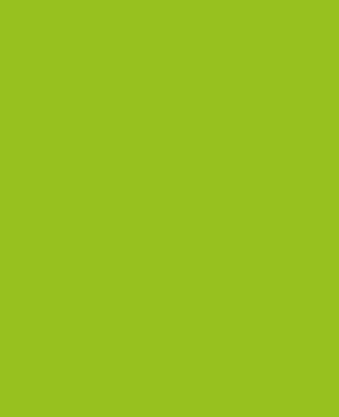 KREUL Javana Peinture pour tissus clairs Vert mai 20 ml