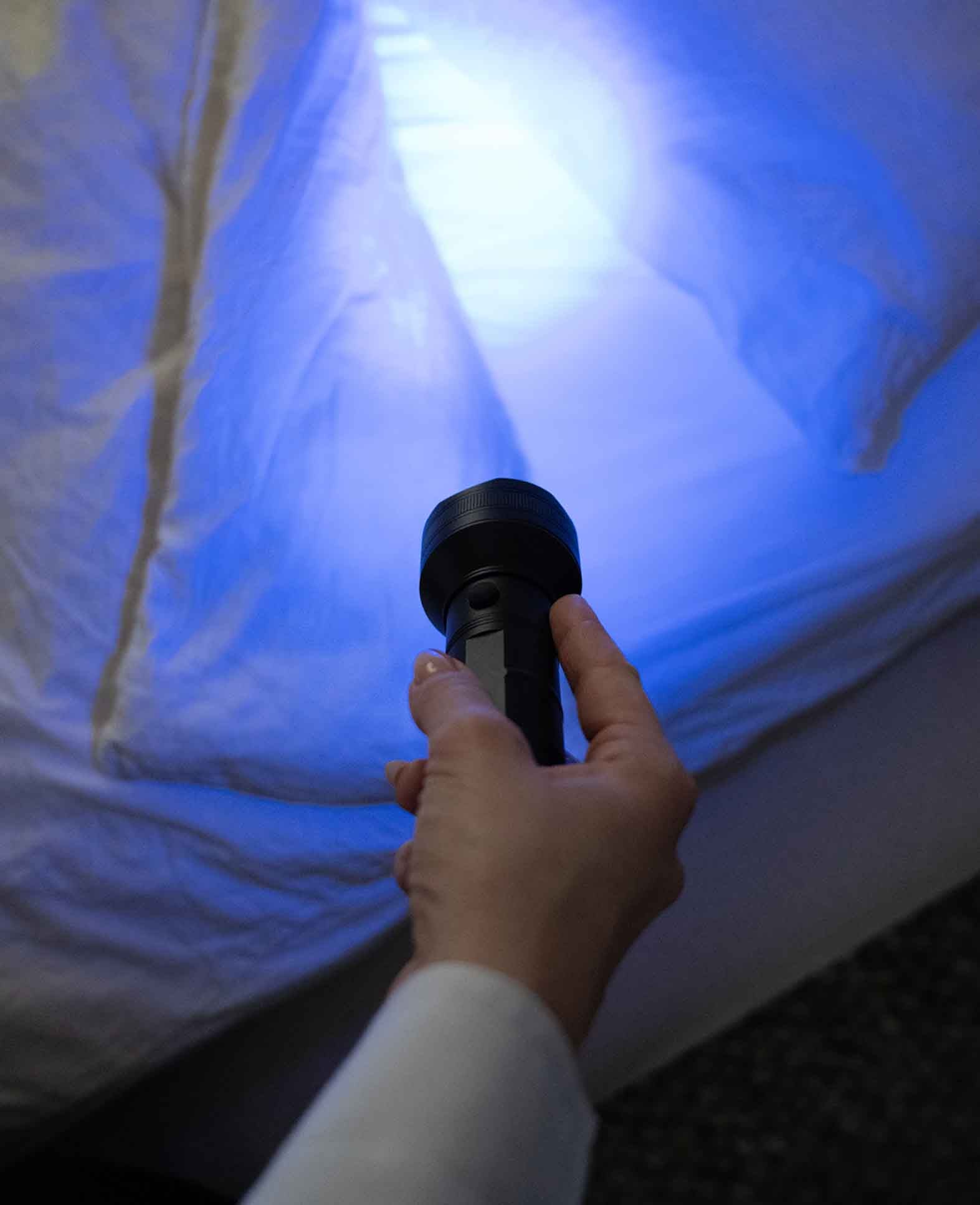 UV Schwarzlicht Taschenlampe Anti-Flecken LED Lampe mit Handschlaufe