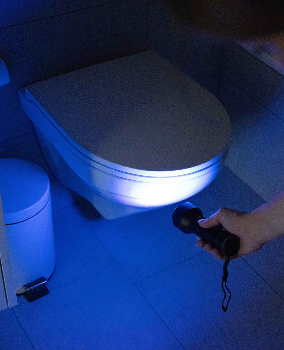 UV Schwarzlicht Taschenlampe Anti-Flecken LED Lampe mit Handschlaufe