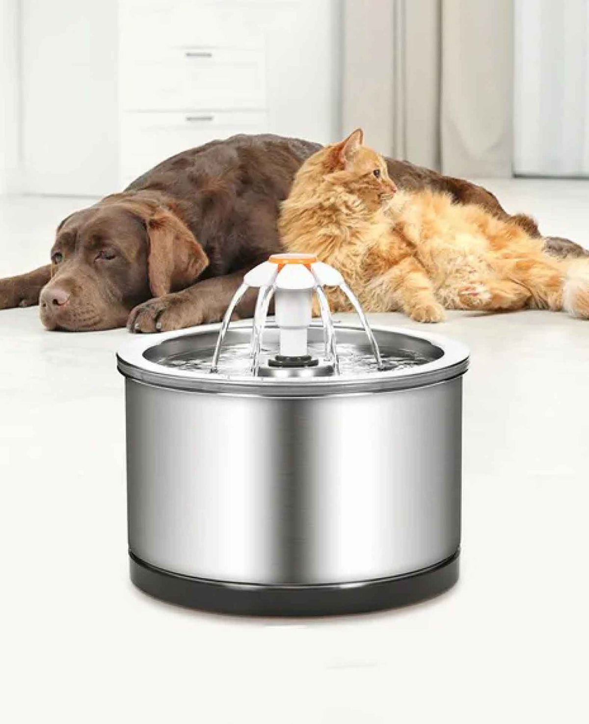 Edelstahl Katzen Trinkbrunnen USB Hunde Wasserspender - Silber, 2.5L