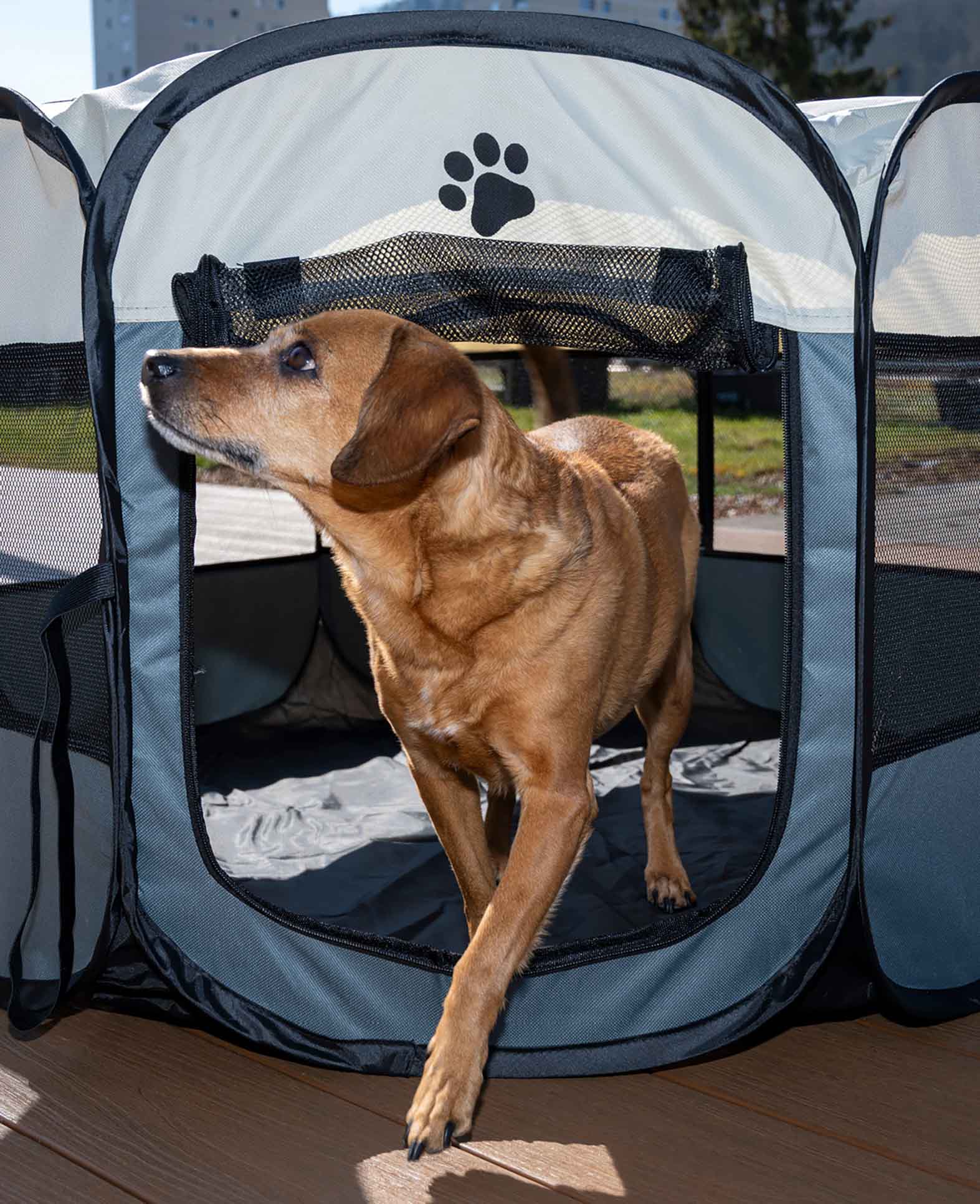 Faltbarer Welpenauslauf Hunde Laufstall, 114x114x58cm - Grau / Beige