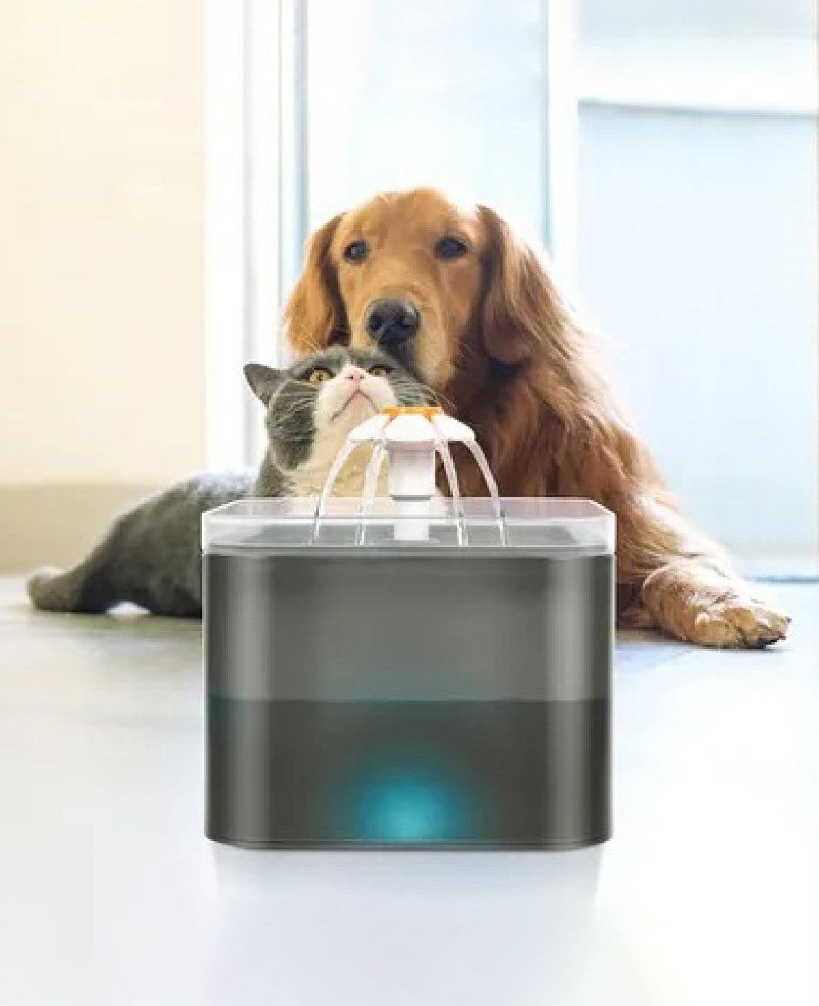 Haustier Trinkbrunnen LED Wasserspender mit Aktivkohlefilter + Wasserpumpe, 2L