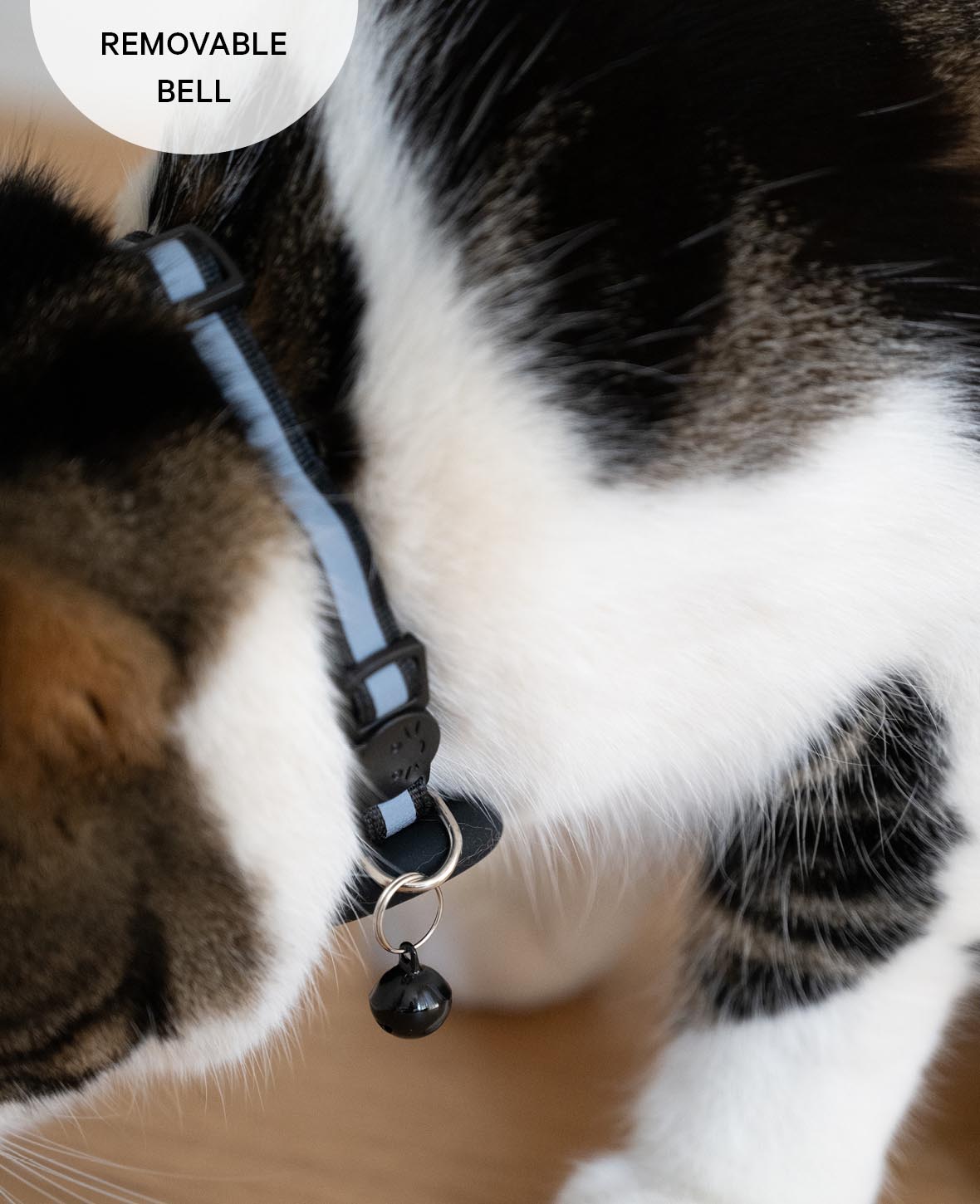 Katzen Halsband mit Apple AirTag Silikon Halterung, Adressanhänger, Schwarz